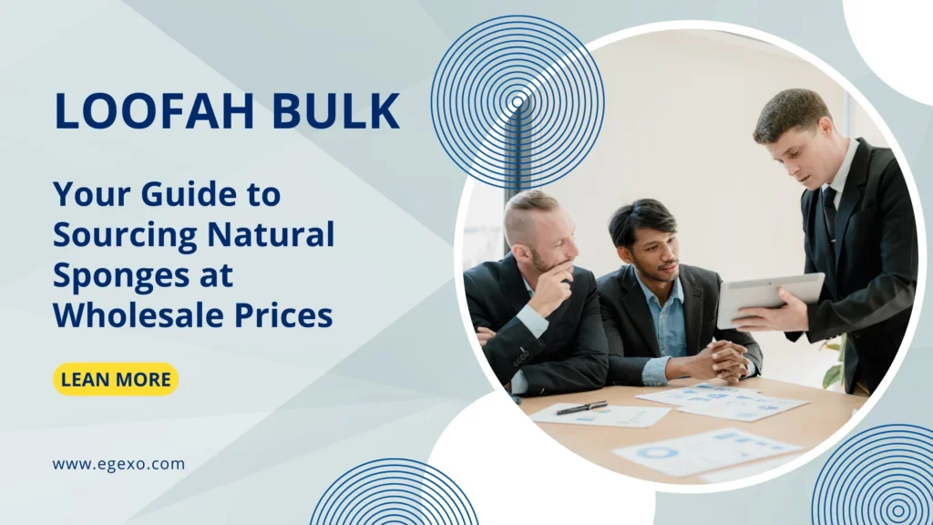 Loofah Bulk: Your Guide to Sourcing Natural Sponges at Wholesale Prices 2 Nature's Best Scrubber, Delivered to Your Door Natural loofah bulk wholesale sponges arranged showing various sizes and textures suitable for bath body kitchen and commercial use
