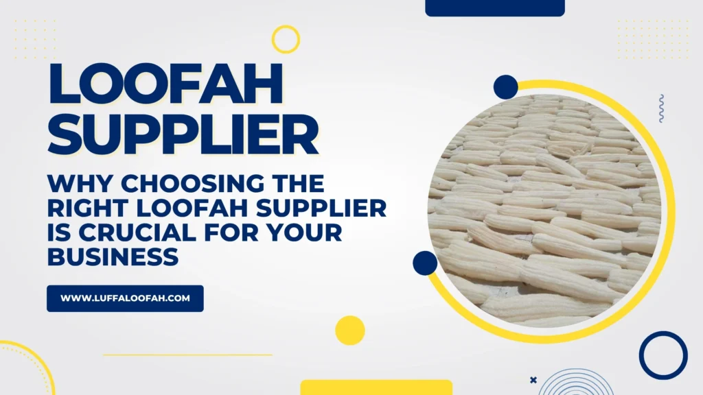 Natural Luffa sponges from a trusted Loofah supplier