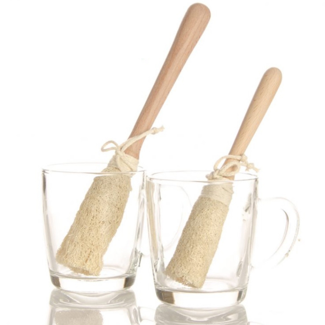 Natural Loofah Family Set 9 Nature's Best Scrubber, Delivered to Your Door Natural Loofah Family Set - 17 premium Egyptian luffa pieces for body & kitchen. ISO certified, chemical-free, biodegradable. Free shipping over $150. Order today!