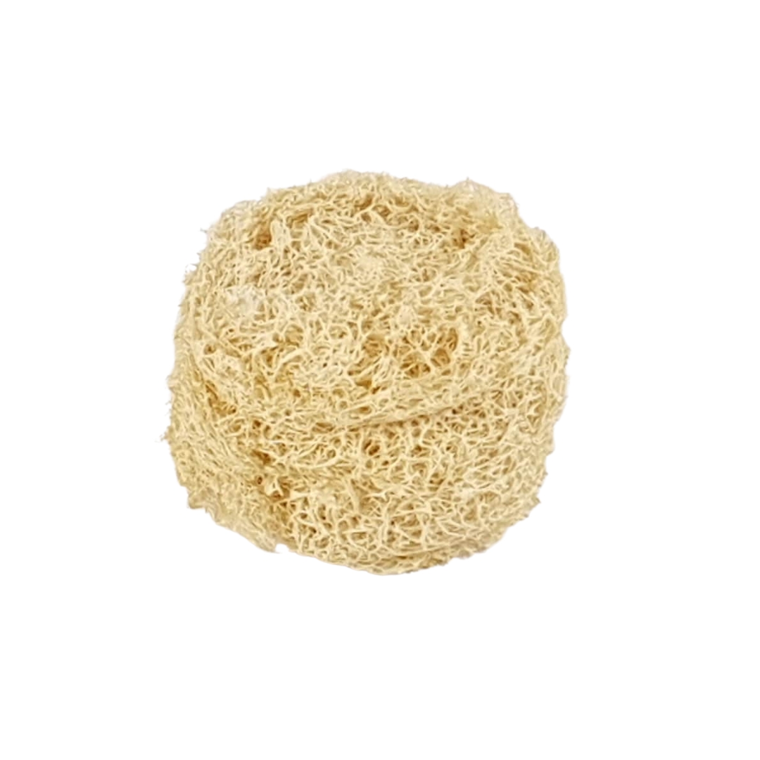 Natural Loofah Family Set 7 Nature's Best Scrubber, Delivered to Your Door Natural Loofah Family Set - 17 premium Egyptian luffa pieces for body & kitchen. ISO certified, chemical-free, biodegradable. Free shipping over $150. Order today!