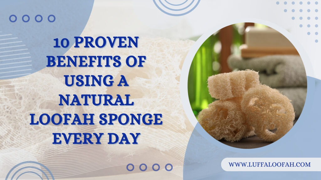 Benefits of Natural Loofah 10 Proven Daily Uses 2026 Luffaloofah