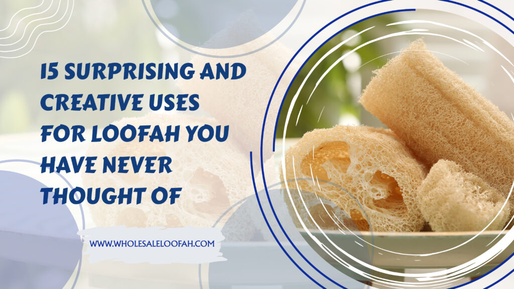 Creative Uses for Loofah 15 Surprising Ideas 2026 Luffaloofah