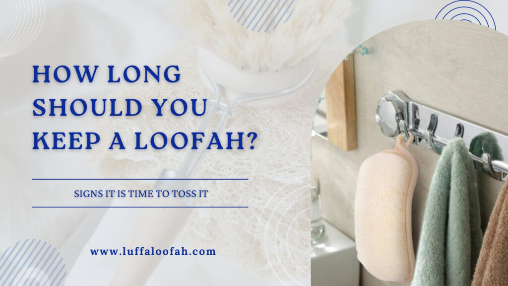 How Long Does a Loofah Last Signs to Replace It 2026 Luffaloofah
