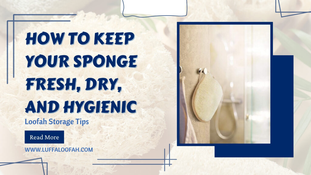 How to Store Loofah Fresh and Hygienic Tips 2026 Luffaloofah