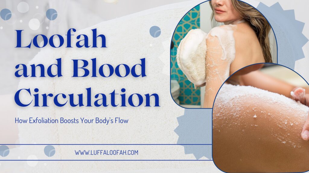 Loofah Blood Circulation Exfoliation Benefits 2026 Luffaloofah