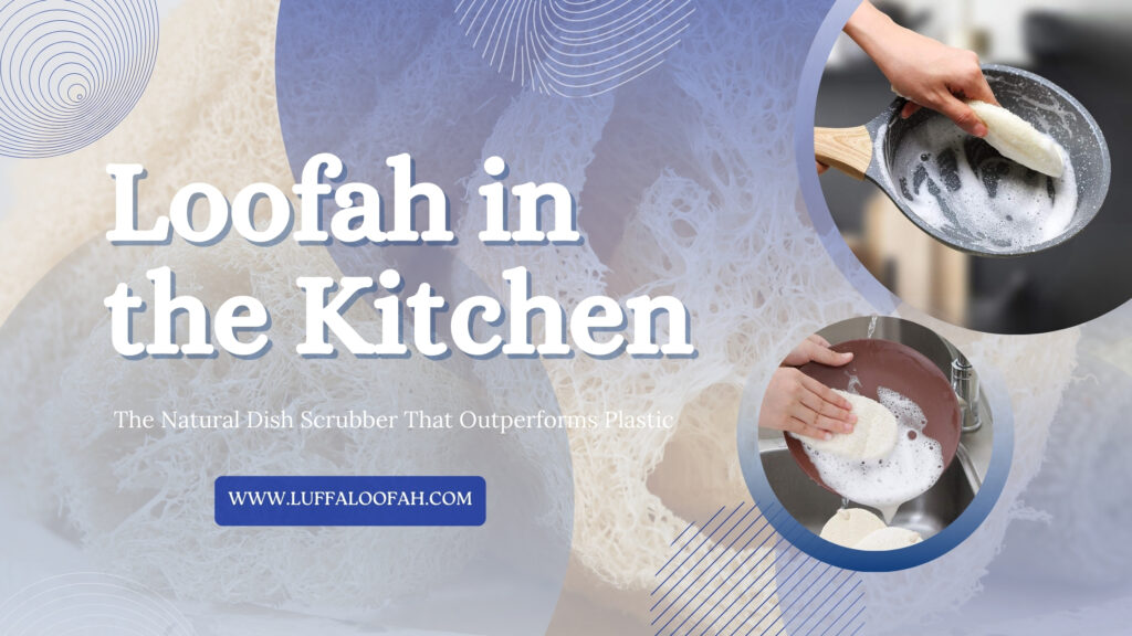 Loofah Kitchen Scrubber Natural Cleaning 2026 Luffaloofah