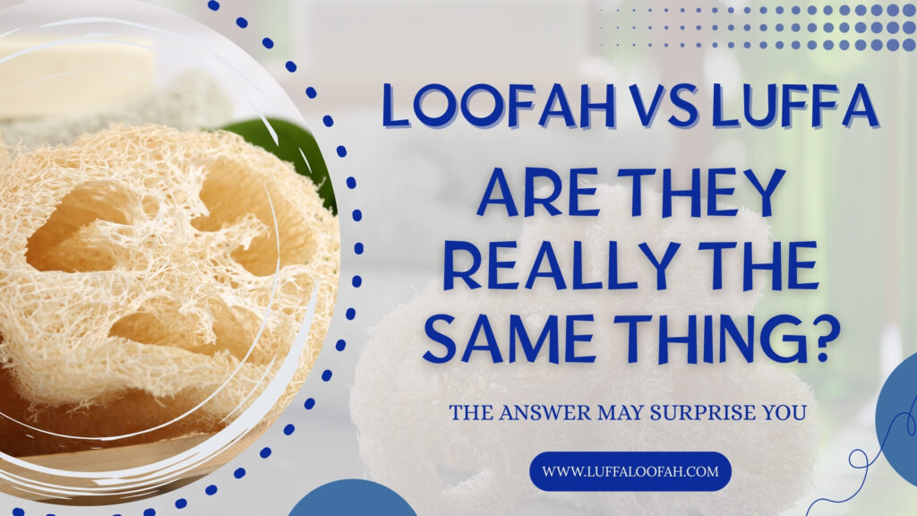 Loofah vs Luffa The Complete Guide 2026 Luffaloofah